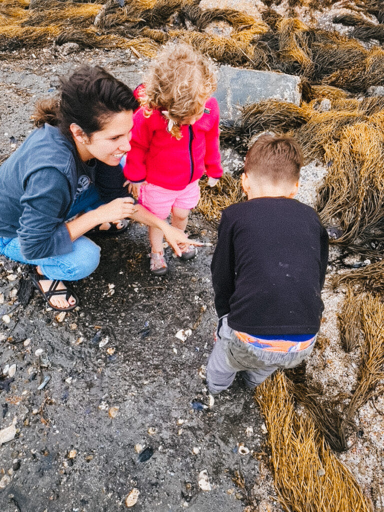 family on a nature scavenger hunt during a camping trip