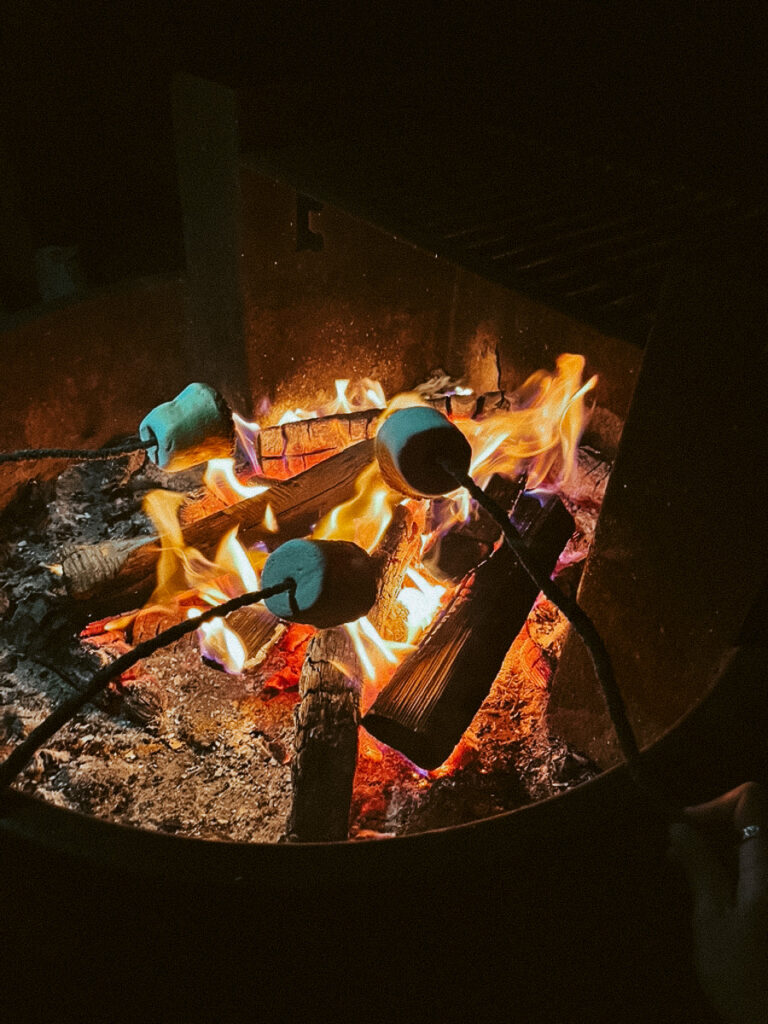 family making s'mores over the campfire, the best camping activity for families